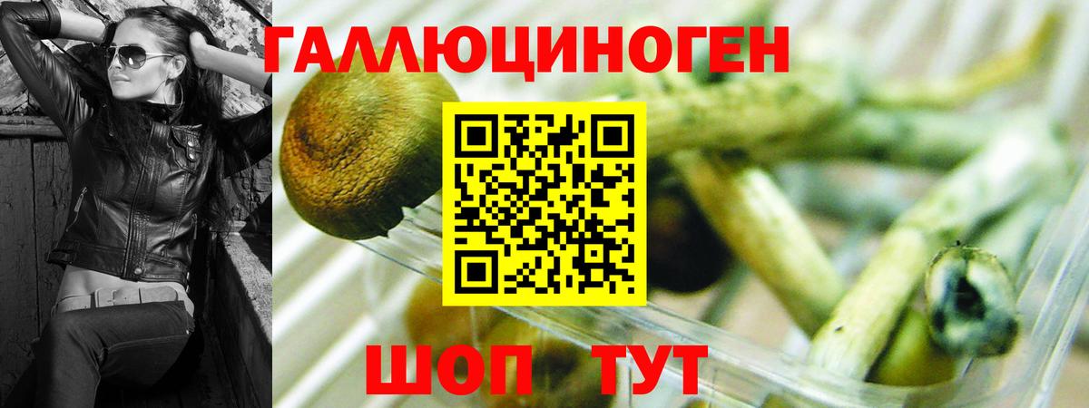 Галлюциногенные грибы мухоморы  Вход с VPN  Минусинск 